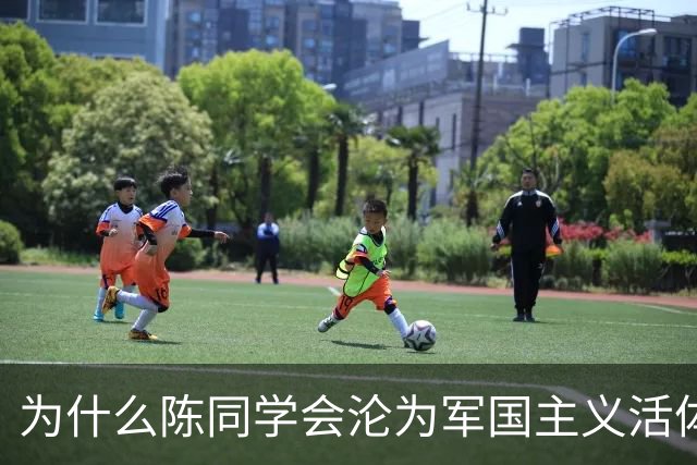 为什么陈同学会沦为军国主义活体广告？